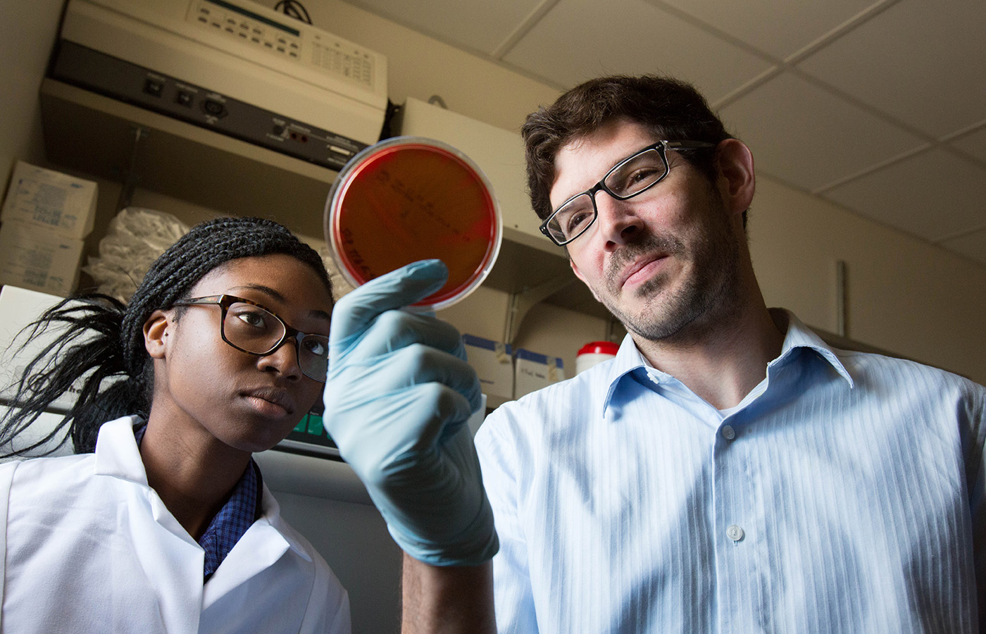 YSPH students examine a specimen