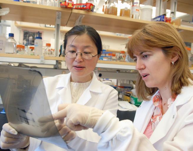 Two researchers in a lab