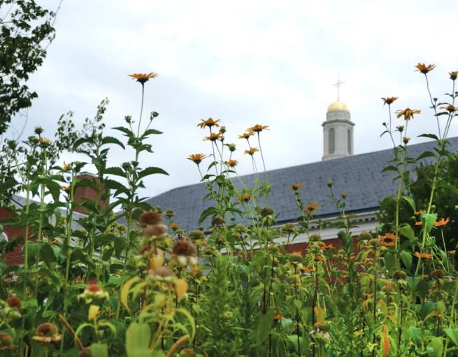 Flowers infront of Yale Divinity School