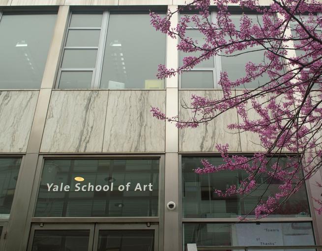 Tree in bloom outside of the Yale School of Art