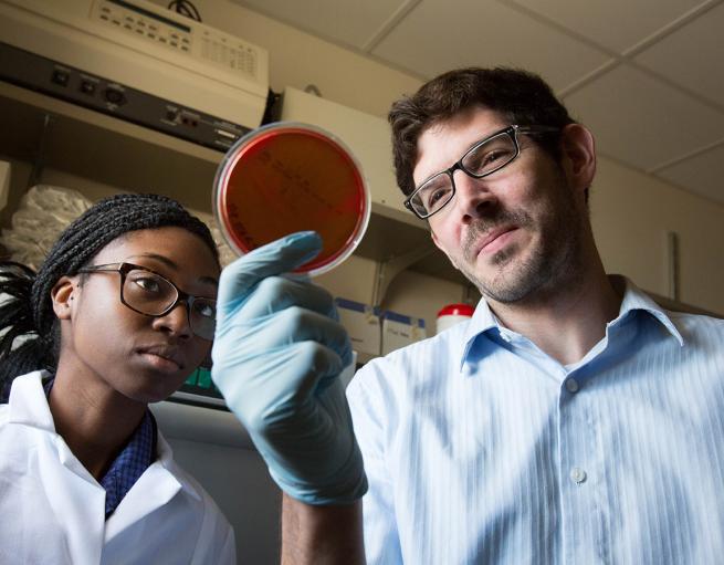 YSPH students examine a specimen