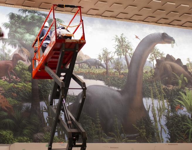 Renovations underway at the Peabody Museum