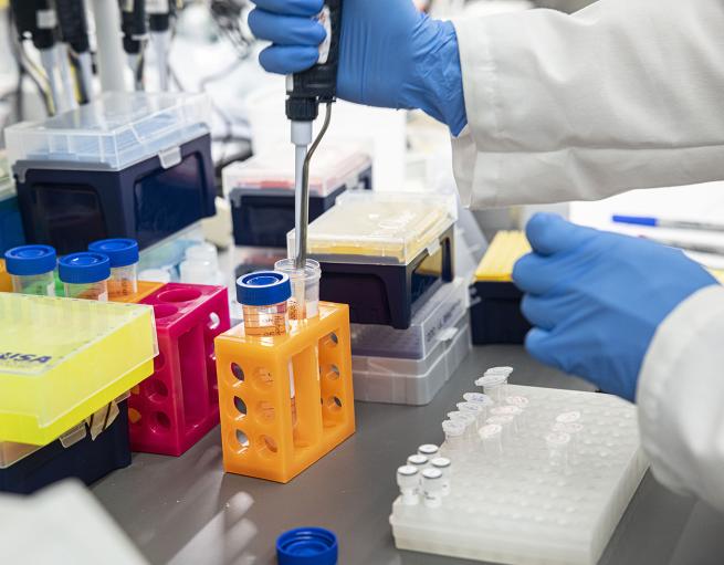 Close view of gloved hands at work in a lab