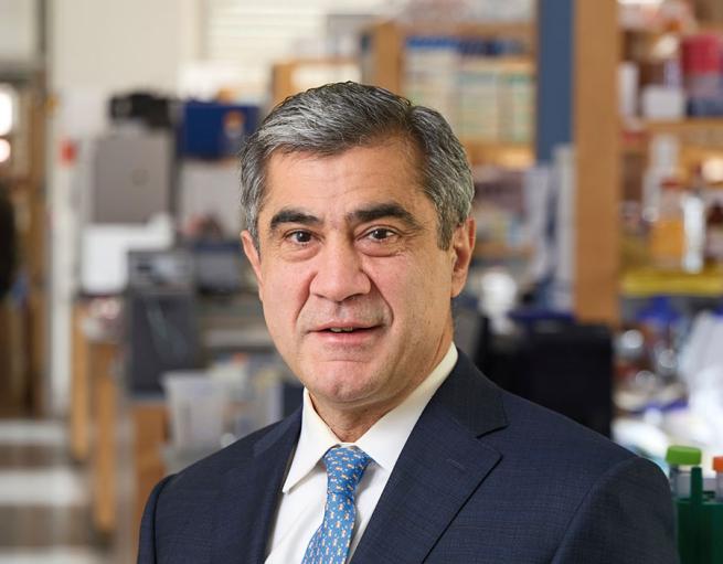 Murat Günel