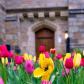 Flowers blooming in front of Yale building