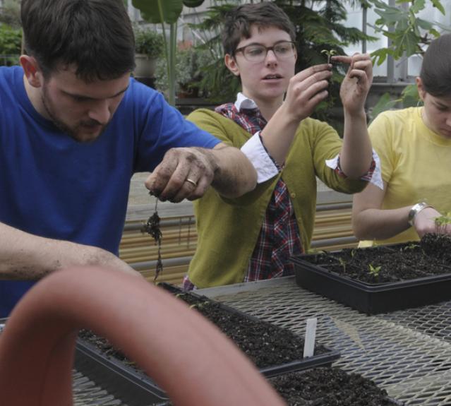 Two environmental science students looking at plants