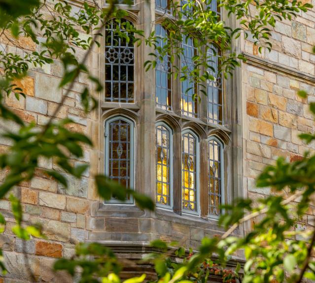 campus window