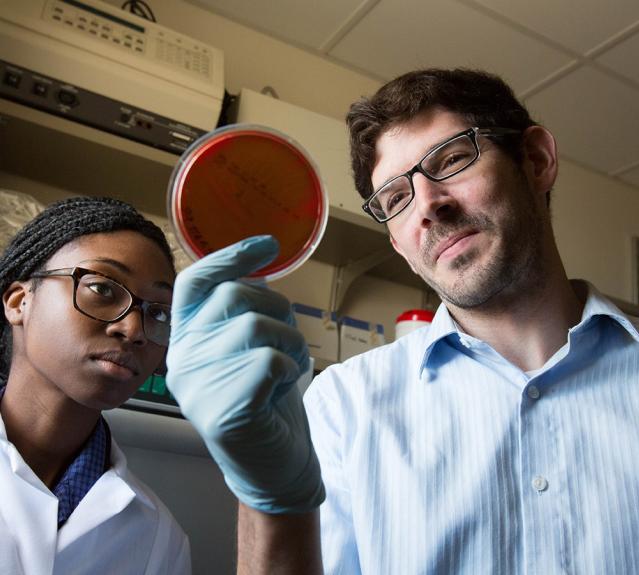 YSPH students examine a specimen
