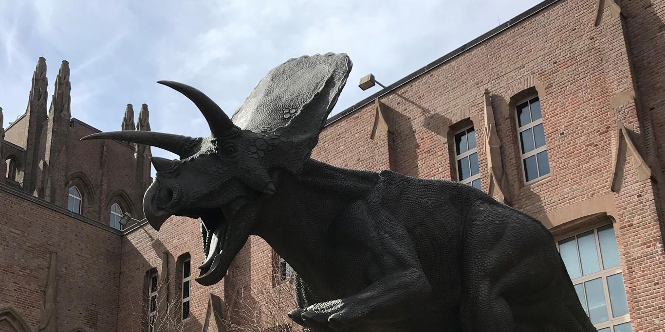 Torosaurus outside the Peabody Museum 