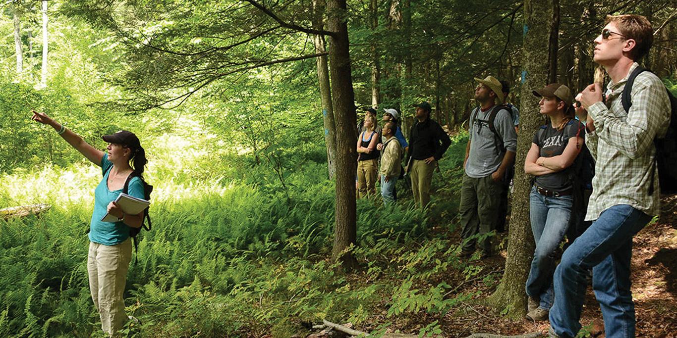 Yale School of Environment students out in the forest