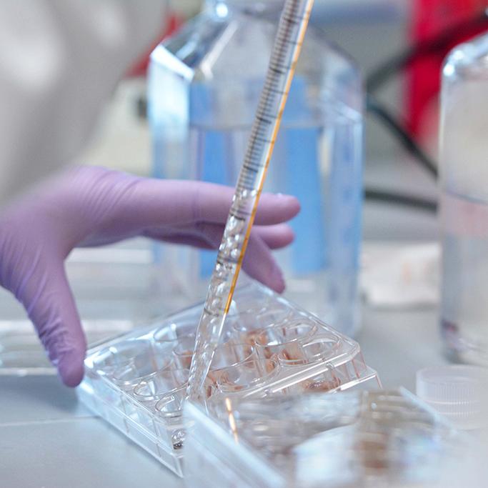 Detail of the gloved hand of a scientist working in a lab