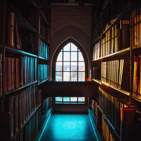 A window in the library stacks