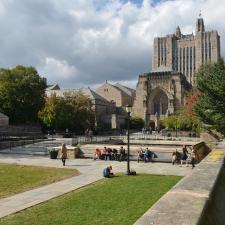 Yale's Sterling Memorial Library