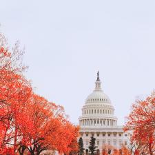 US Capitol Building in Autumn