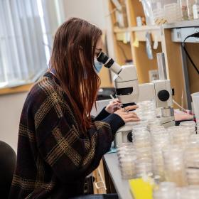 A student working in a neuroscience research laboratory