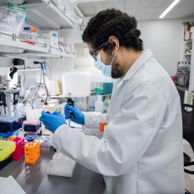Researcher working in a laboratory