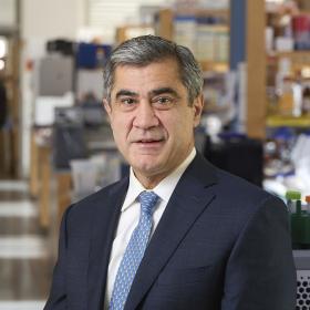 Murat Günel