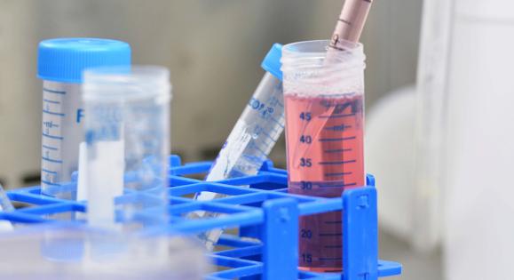 Detail from a laboratory