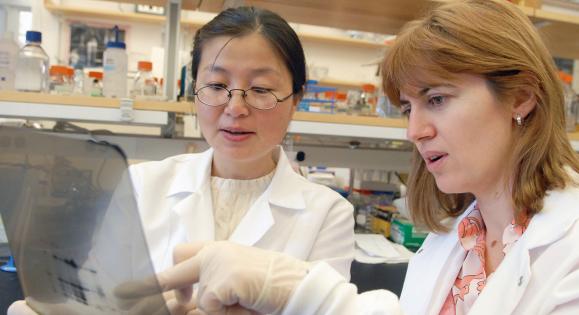 Two researchers in a lab