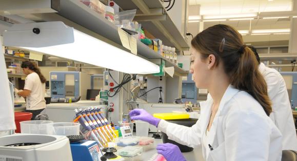 Students conducting research in a laboratory