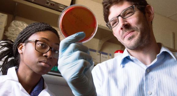 Two researchers in a lab
