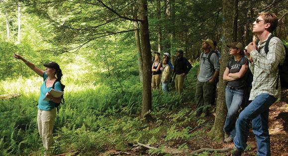 Yale School of Environment students out in the forest