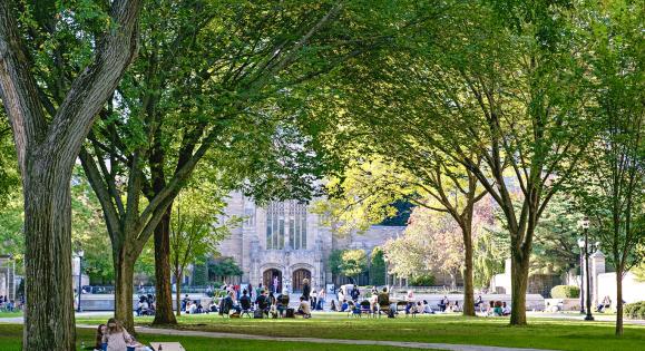 Students enjoy a sunny day outside on Yale’s campus