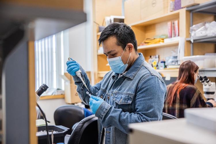 Researchers at work in a neuroscience laboratory