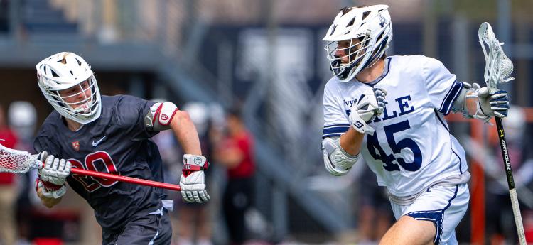 A Yale lacrosse player faces off with an opponent from Harvard