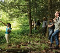 Yale School of Environment students out in the forest